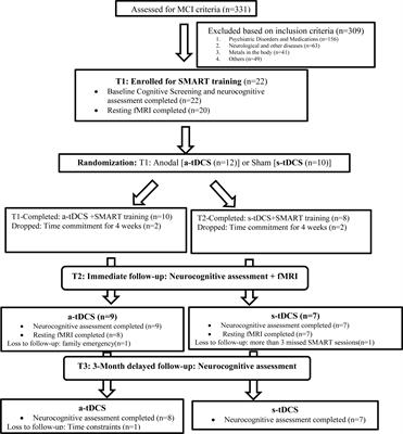 Cognitive Training and Transcranial Direct Current Stimulation in Mild Cognitive Impairment: A Randomized Pilot Trial